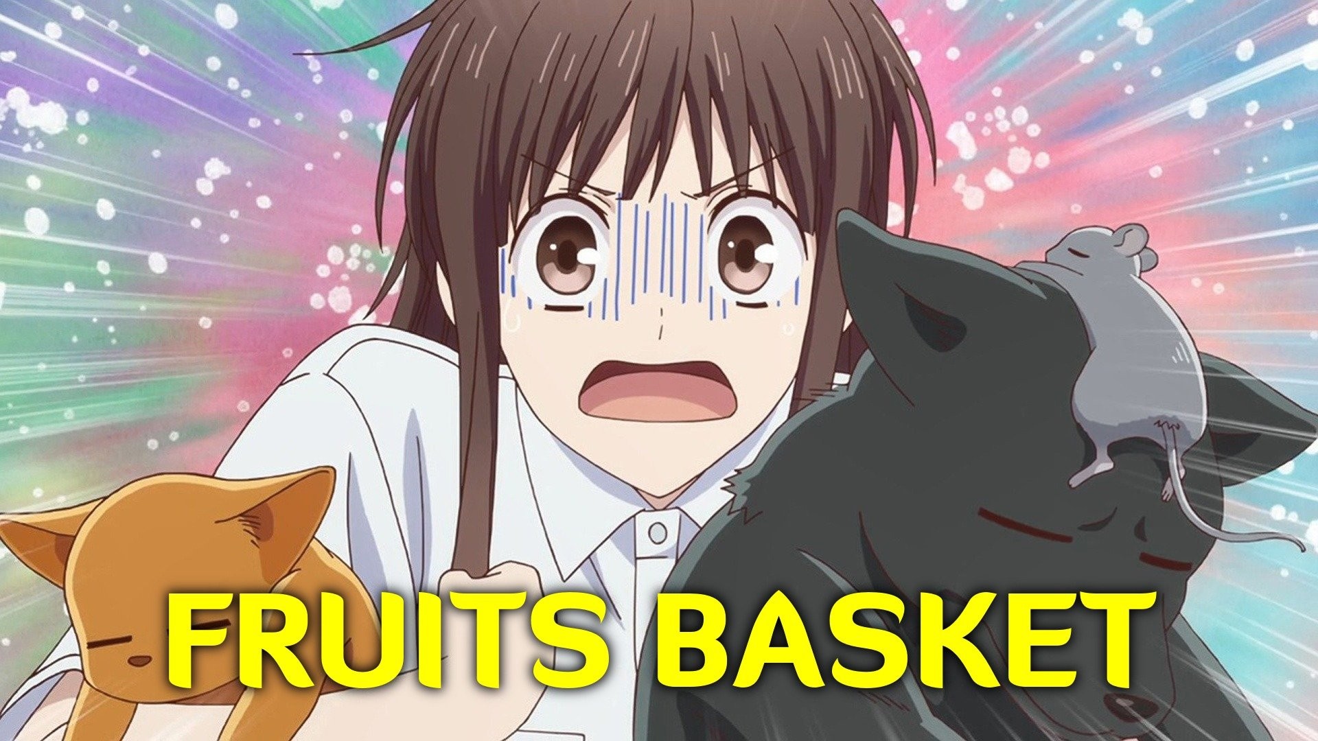 Fruits Basket Anime Group Lanyard with ID Badge Holder & Logo Charm -  Walmart.com
